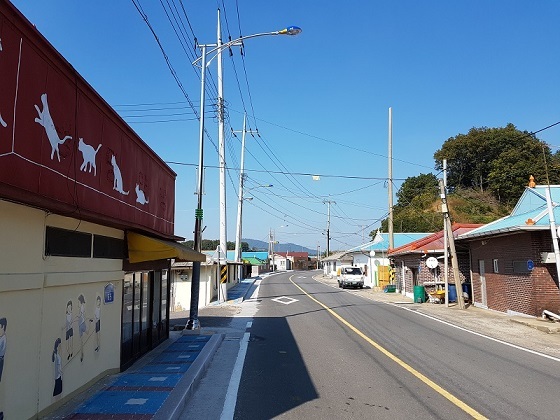 NSP통신-▲보령 첫마을 가꾸기 사업 진행 중인 죽림3리에 벽화그리기 및 가로등이 신설됐다. (보령시)