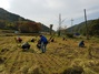 [NSP PHOTO]아산시 자치행정과, 자매결연마을 농촌봉사활동 펼쳐