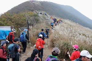 [NSP PHOTO]보령시, 12년만에 부활한 오서산 억새꽃 등산대회 개최