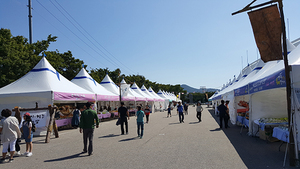 [NSP PHOTO]영덕군, 몽골텐트 100동 자체 제작..연간 8천만원 예산절감