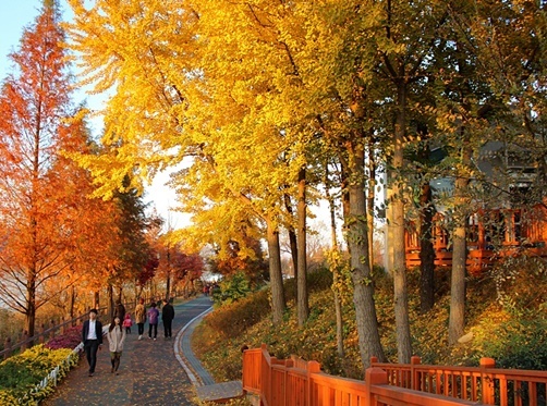 NSP통신-▲신정호수공원 가을전경 모습 (아산시)