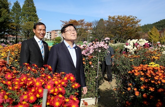 NSP통신-▲태안군에서 25일 개막한 행복한 국화향기 나눔전에는 다양한 국화꽃이 전시됐다.