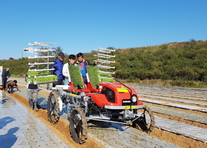 [NSP PHOTO]함평군,  양파 농사 기계화로 농가 미소가 활짝