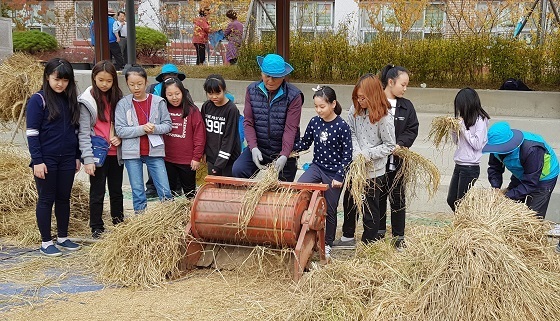 NSP통신-▲청양군 친환경농민연합회는 지난 8일 도심 속 학교 논 추수행사를 개최했다. (청양군)