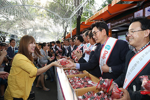 [NSP PHOTO]포항시의회, 외교사절단 역할 톡톡