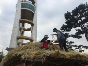 [NSP PHOTO]오산시, 맑음터공원 이엉 잇기 작업 실시