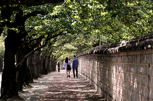 [NSP PHOTO]경주 대릉원 돌담길, 시가(詩歌)의 거리로 조성된다.