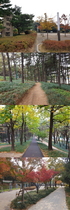 [NSP PHOTO][가볼까] 수원 올림픽공원, 도심 한복판 숲속