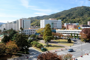 [NSP PHOTO]순천대학교, 인문학연구소 25일 관전사(貫戰史) 주제로 학술 세미나 개최