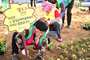 [NSP PHOTO]장성군, 행안부 추진  열린 혁신 우수 지자체 선정