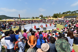 [NSP PHOTO]안성 바우덕이축제, 대한민국 대표 우수축제 선정