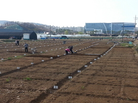 [NSP PHOTO]성남시농업기술센터, 성남시민농원 실버텃밭 무료분양