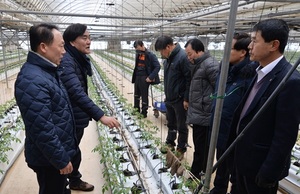 [NSP PHOTO]전남농협, 11일 폭설 피해 우려 비닐하우스 시설 농가 긴급현장 점검