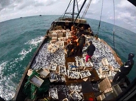 [NSP PHOTO]목포해경, 주말 불법조업 중국어선 4척 나포