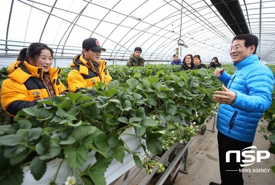 NSP통신-강진원 강진 군수(사진 오른쪽)가 딸기 재배시설을 찾아 농민들과 대화하고 있다. (강진군)