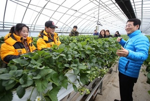 [NSP PHOTO]강진군, 농업인 연간 순소득 6천만원 달성 가속페달