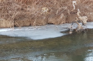 [NSP PHOTO]최강 한파, 광명시 목감천 꽁꽁 얼려