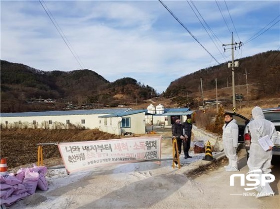 [NSP PHOTO]진안군, AI 현장방역 강화