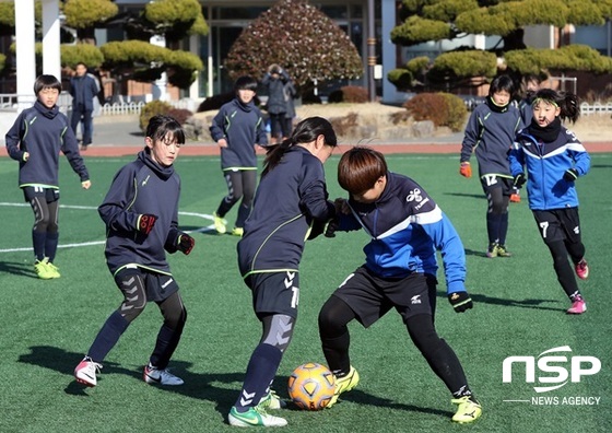 NSP통신-장흥군에서 이어지고 있는 축구 스토브리그. (장흥군)