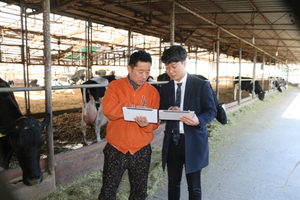 [NSP PHOTO]CJ제일제당, 젖소 건강 관리에  ICT 활용