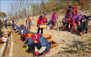 [NSP PHOTO]목포시 관광브랜드 삼학도, 사계절 꽃피는 힐링숲으로