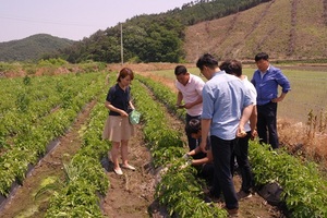 [NSP PHOTO]장성군, 본격 영농철 맞아 농업인 애로 해결 현장서 돕는다