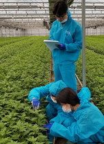 [NSP PHOTO]경기농기원, 스마트팜 농가 대상 빅데이터 수집