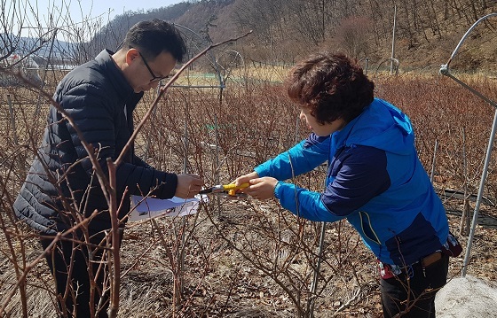 NSP통신-▲예산군이 지난 5일부터 22일까지 관내 12개 읍·면을 대상으로 현지 출장예찰을 실시했다. (예산군)