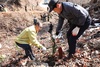 [NSP PHOTO]무주군, 향로산 휴양림에 편백나무 3천 그루 심어