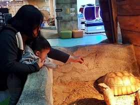 [NSP PHOTO]대구 달성군, 드림스타트 엄마랑 나랑 문화체험 행사 가져