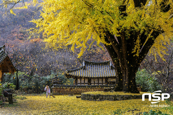 NSP통신-황채석 작가 운곡서원의 가을 작품. (경주문화엑스포)