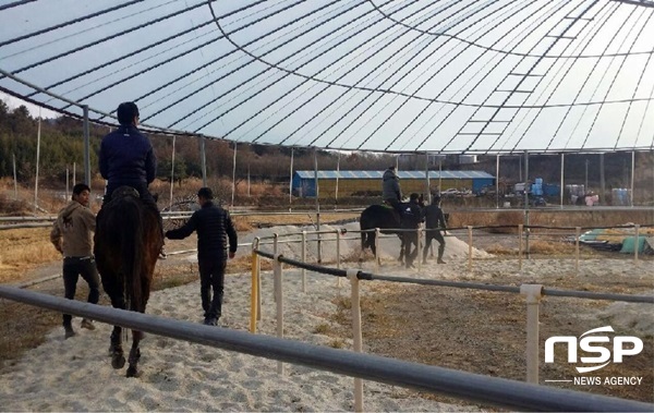 NSP통신-장흥군 동물교감 치유농업 체험장. (장흥군)