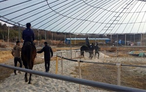 [NSP PHOTO]장흥군, 승마 등 동물교감 치유농업 체험장 운영