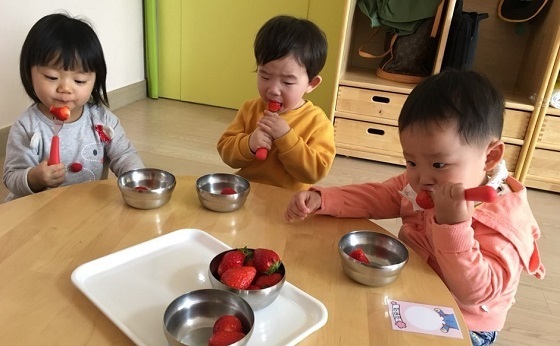 NSP통신-▲계룡시가 관내 어린이집 46개소에 딸기 226박스를 공급했다. (계룡시)