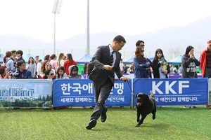 [NSP PHOTO]군산시-전라북도, KKF 반려동물 대축제 개최