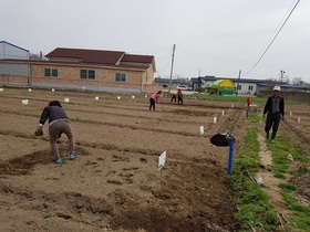 [NSP PHOTO]완주군, 마을·시민텃밭 운영 시작…489세대 분양