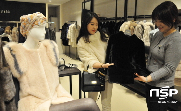 NSP통신-롯데백화점 대구점 3층 진도모피 매장에서 여성고객이 밍크 재킷을 쇼핑하고 있다. (롯데백화점 대구점)
