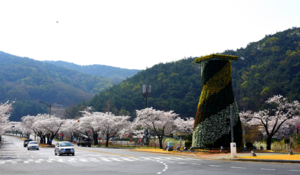 [NSP PHOTO]경주 보문단지 첨성대 꽃 탑, 봄꽃 식재로 황홀한 자태 드러내