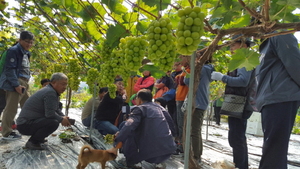 [NSP PHOTO]경산시, 경산농업인아카데미 수강생 모집