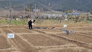 [NSP PHOTO]전주 학전정보화마을, 주말농장 체험 개장식 개최