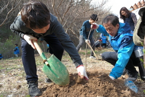 [NSP PHOTO]김사열 대구시교육감 예비후보, 나무심기 행사 가져