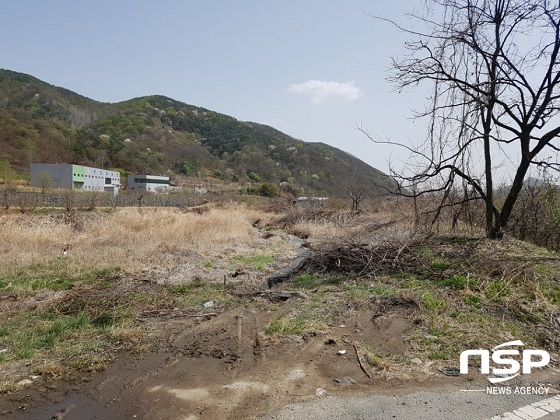 NSP통신-최 씨가 주장하는 풍각면으로 가는 도로의 길이와 시간도 훨씬 단축되고 농가 피해도 줄일 수 있다는 하천부지. (김도성 기자)