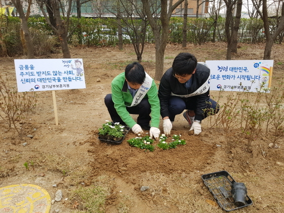 NSP통신-경기남부보훈지청의 슬기로운 청렴생활 동아리 회원들이 청사 앞마당에서 청렴꽃 심기 행사를 진행하고 있다. (경기남부보훈지청)