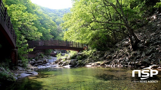 NSP통신-장수군 덕산계곡