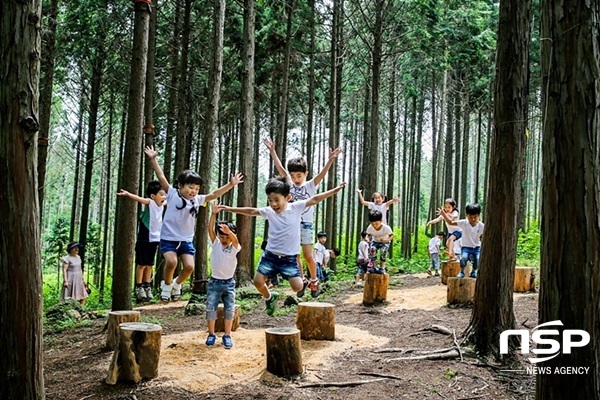 NSP통신-장흥 편백숲 우드랜드. (장흥군)