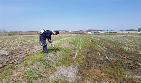 NSP통신-▲예산군이 12개 읍·면을 대상으로 월동 애멸구 발생상황을 조사했다. (예산군)