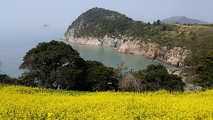 [NSP PHOTO]여수 하화도 꽃섬길 대한민국 대표 걷기 길 선정