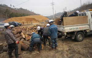 [NSP PHOTO]무안군, 산림 부산물 땔감 판매 사업 추진