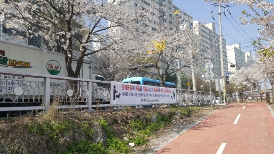 NSP통신-용인시 처인구 양지천 주변. (용인시처인구)