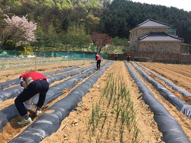 [NSP PHOTO]롯데건설 샤롯데봉사단, 따뜻한 봉사활동 전개